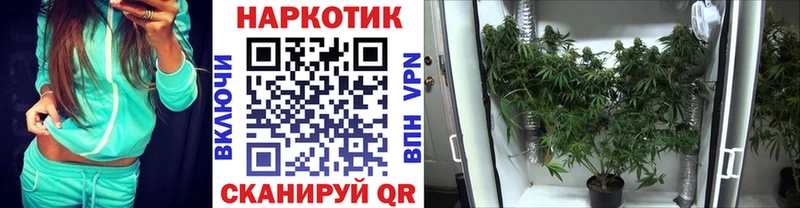Цена Гуково Alpha PVP  ГАШИШ  Кетамин  Каннабис 