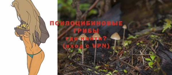 MDMA Premium VHQ Бежецк