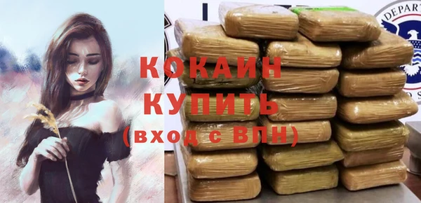 эйфоретик Арсеньев
